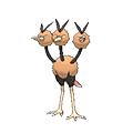 Dodrio
