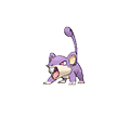 Rattata