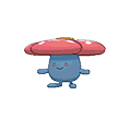 Rafflesia
