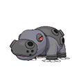 Hippodocus