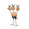 Dodrio