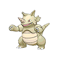 Rhinoféros