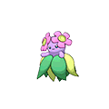Joliflor