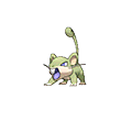 Rattata
