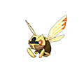 Ninjask