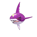 Sharpedo