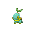 Tortipouss