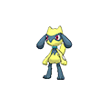 Riolu