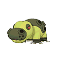 Hippodocus