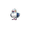 Poichigeon