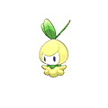 Chlorobule