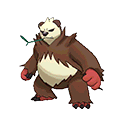 Pandarbare