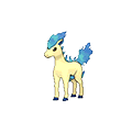 Ponyta