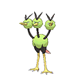 Dodrio