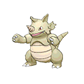 Rhinoféros