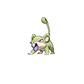 Rattata