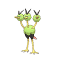 Dodrio