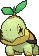 Tortipouss