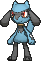 Riolu