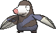 Rototaupe
