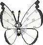 Prismillon