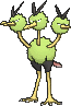 Dodrio