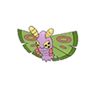 Papinox