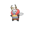 Muciole