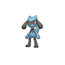 Riolu