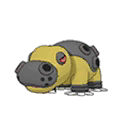 Hippodocus