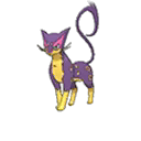 Léopardus