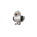 Poichigeon