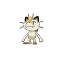Miaouss