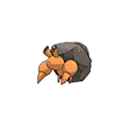 Crabicoque