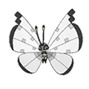 Prismillon