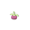 Croquine