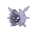Crustabri