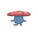 Rafflesia