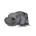 Hippodocus