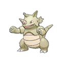 Rhinoféros