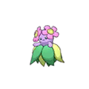 Joliflor