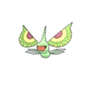 Maskadra