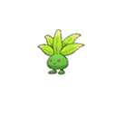 Mystherbe