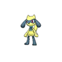 Riolu