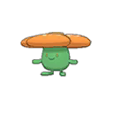Rafflesia