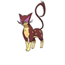 Léopardus