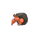Crabicoque