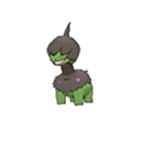 Solochi