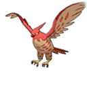 Flambusard