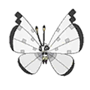 Prismillon